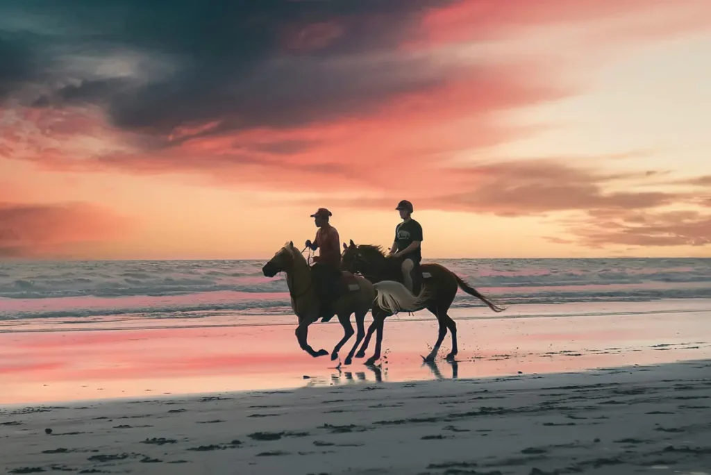 外贸独立站客户生命周期管理：第二阶段——兴趣（interest）3