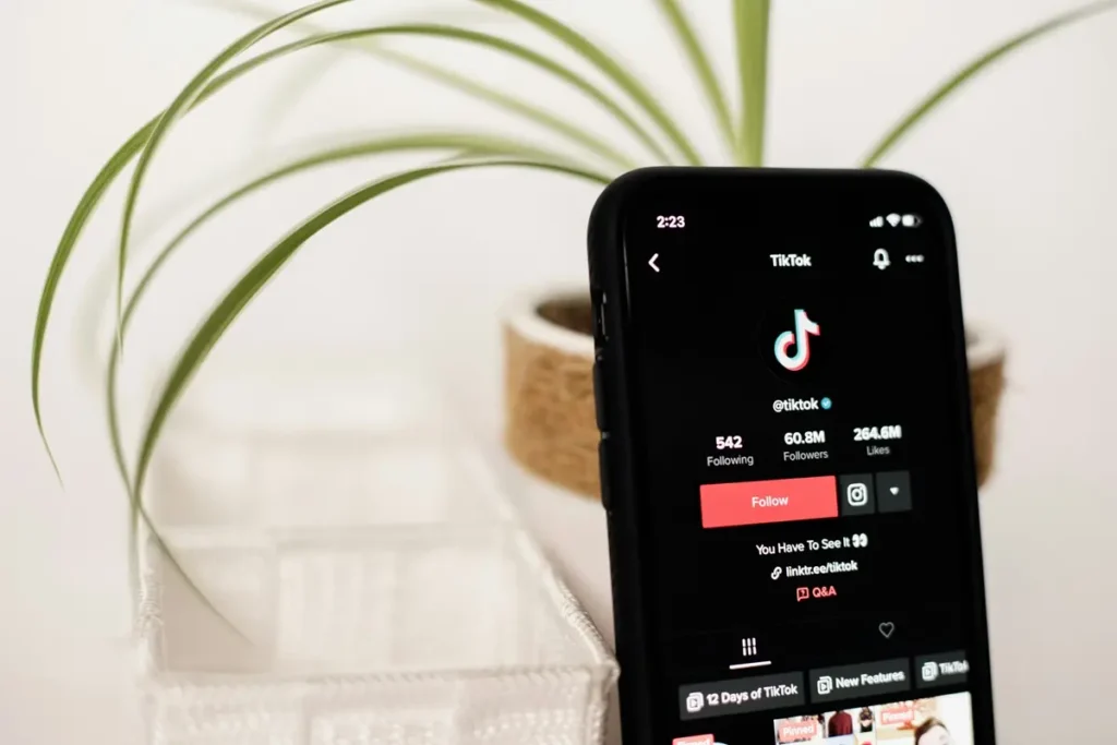 Tiktok compliance guide
