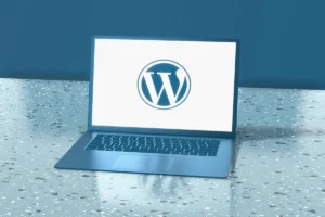 用 wordpress 建立一个外贸独立站实操全过程（2025）0