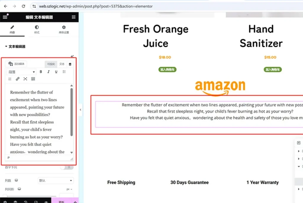 用 wordpress 建立一个外贸独立站实操全过程（2025）34